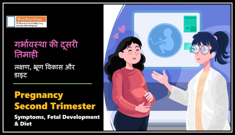 गर्भावस्था की दूसरी तिमाही के लक्षण, भ्रूण विकास और डाइट