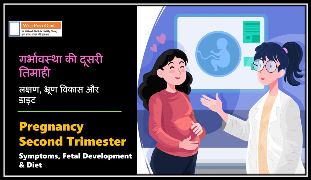 Pregnancy Second Trimester in Hindi