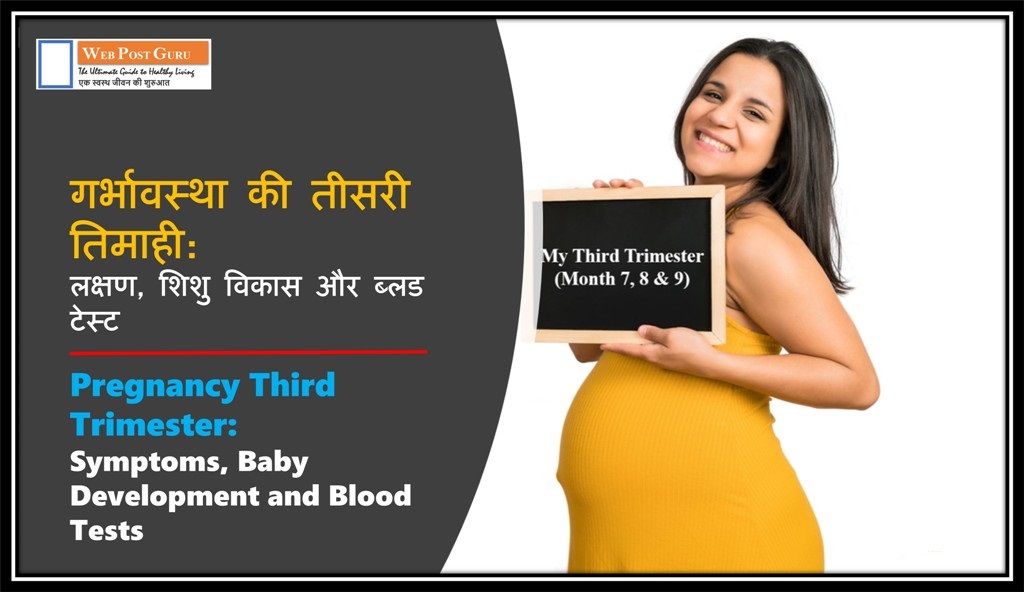 Pregnancy Third Trimester in Hindi