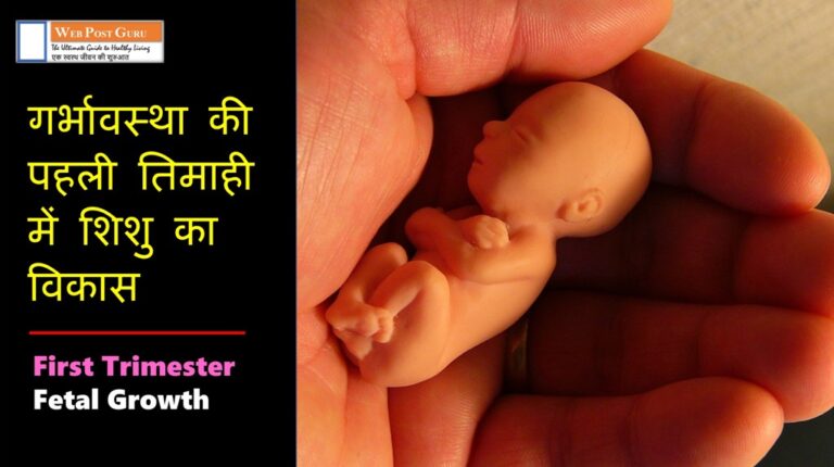 Fetal Growth: गर्भावस्था की पहली तिमाही में शिशु (भ्रूण) का विकास (Video Included)
