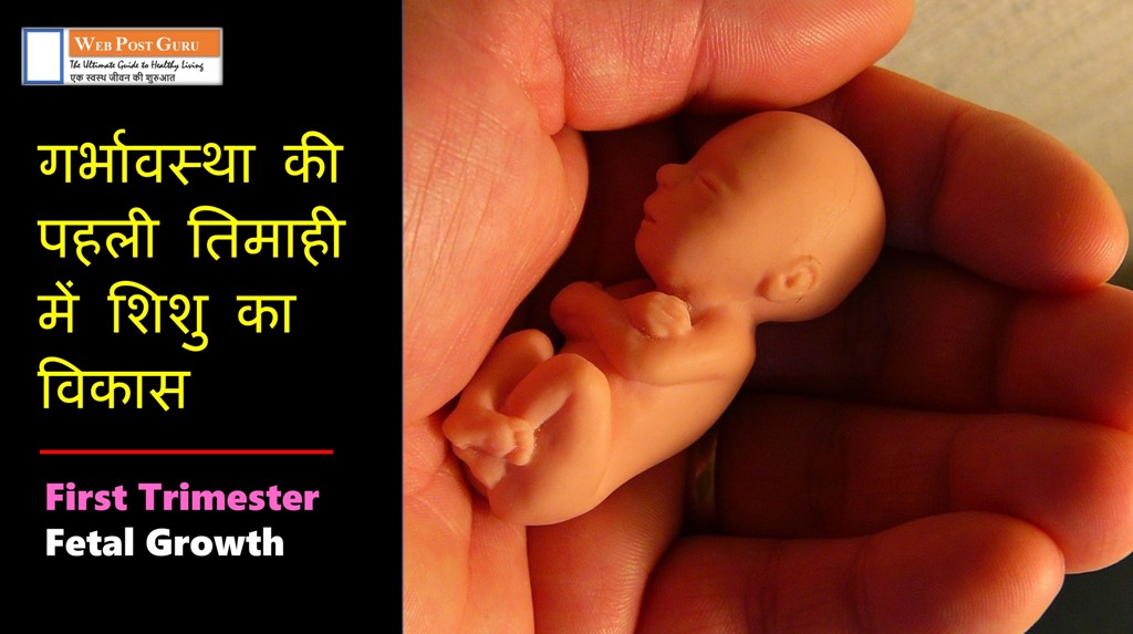 First Trimester Fetal Growth in Hindi