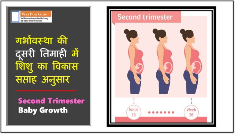 Fetal Development : दूसरी तिमाही में शिशु (भ्रूण) का विकास सप्ताह अनुसार