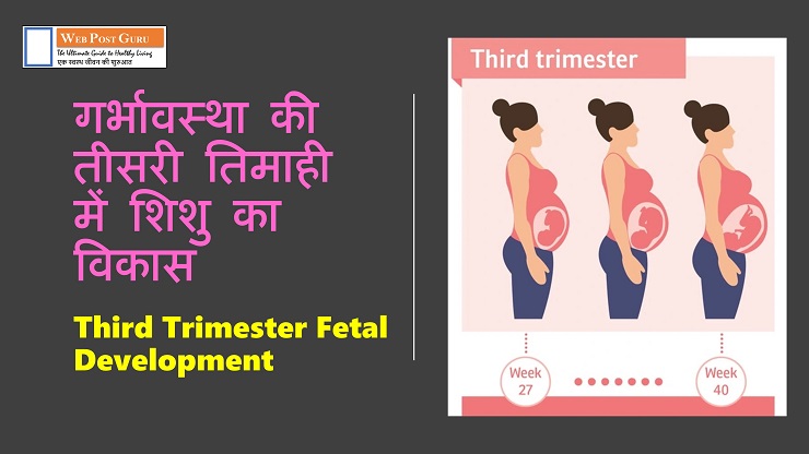 Fetal Development: गर्भावस्था की तीसरी तिमाही में शिशु का विकास सप्ताह दर सप्ताह