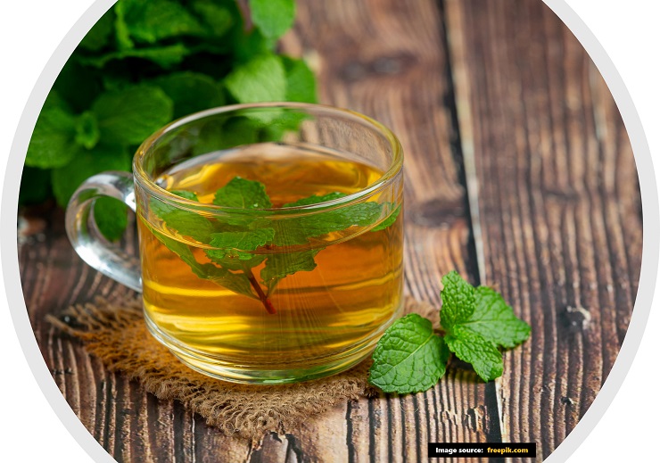 Peppermint TeaMint tea in HindiPudina chai benefits in Hindiपुदीने की चायपिपरमेंट के फायदे