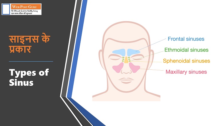 Types of Sinus in Hindi