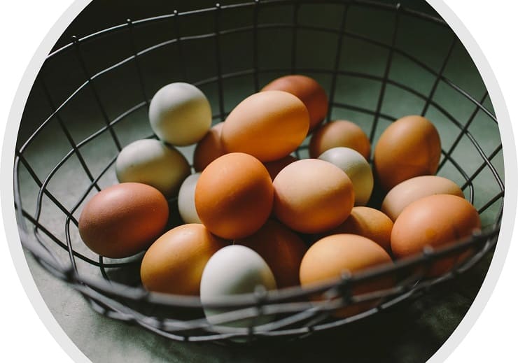 Eggs are Iron rich foods in Hindi