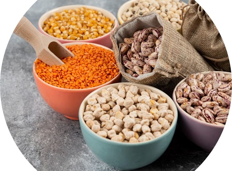 Lentils and Beans as Iron Rich Foods in Hindiआयरन के स्रोत