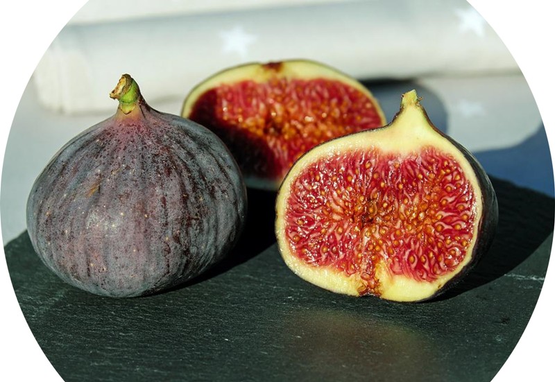 अंजीर के फायदे और नुकसान Figs Benefits in Pregnancy