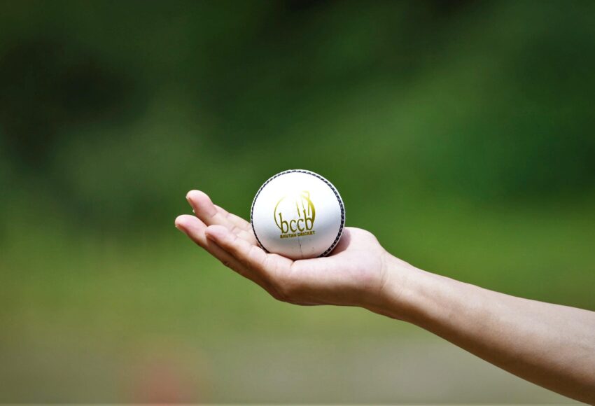 Perfect yorker ball in Hindi