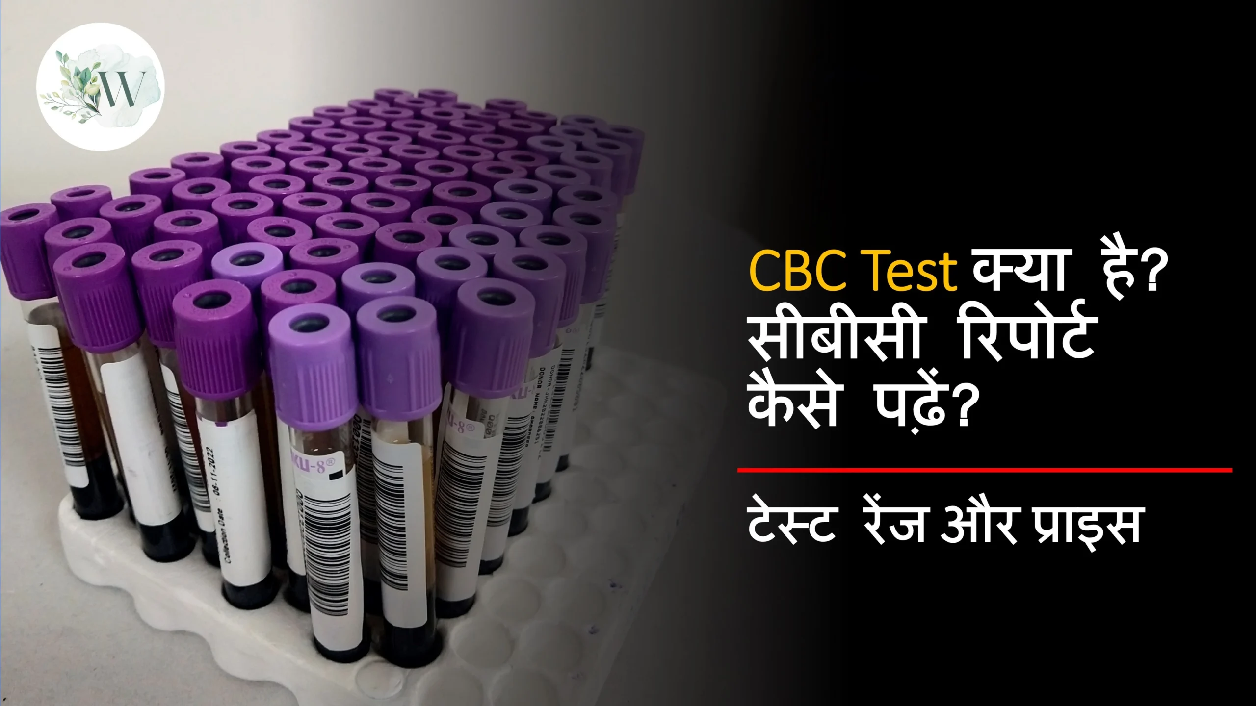 CBC Test in Hindi