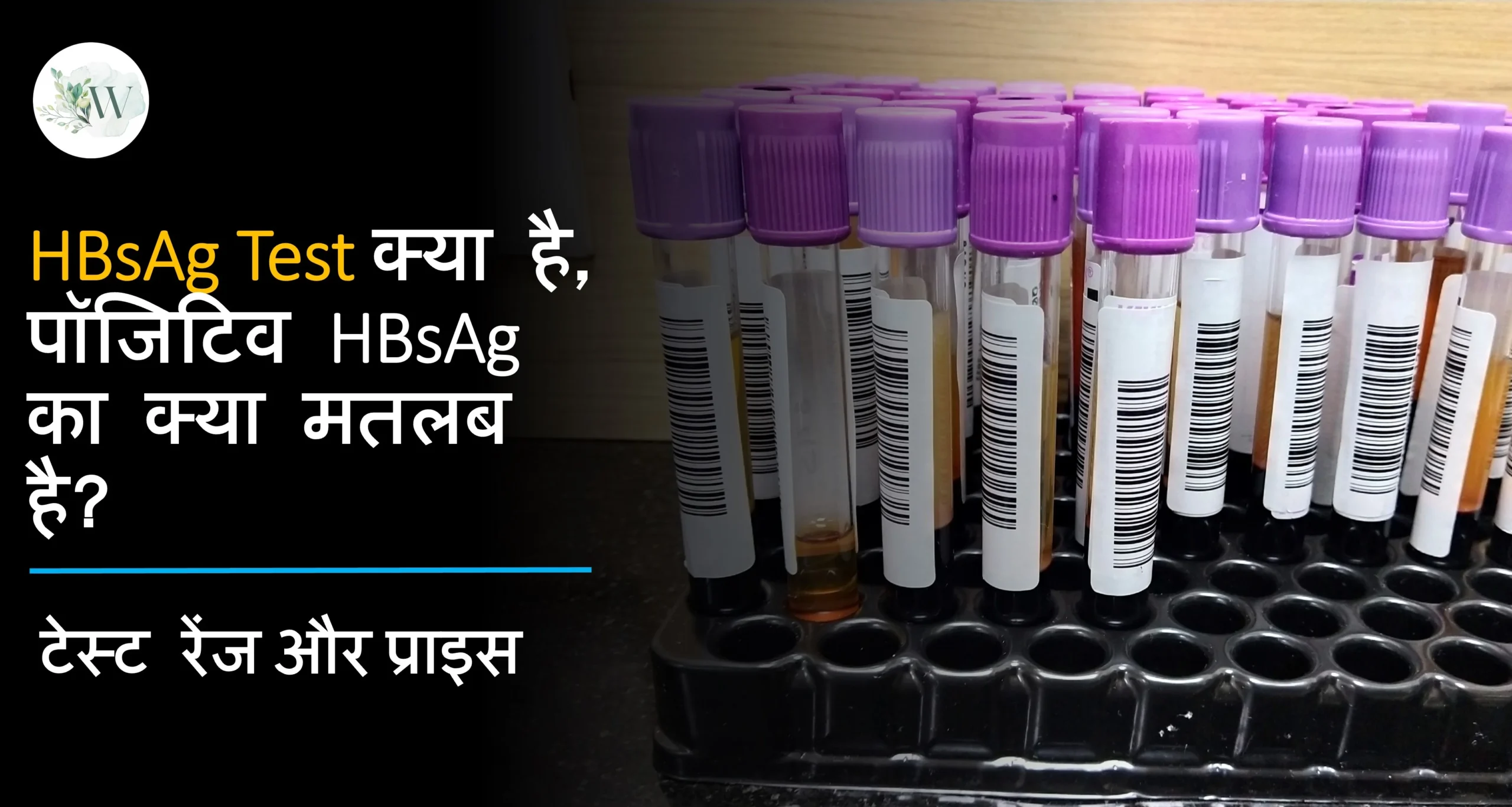 HBsAg Test in Hindi